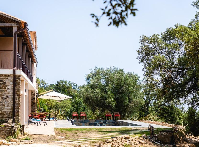 Grande Villa 750 M2 Le Mas Des Chenes Bormes-les-Mimosas Exteriör bild