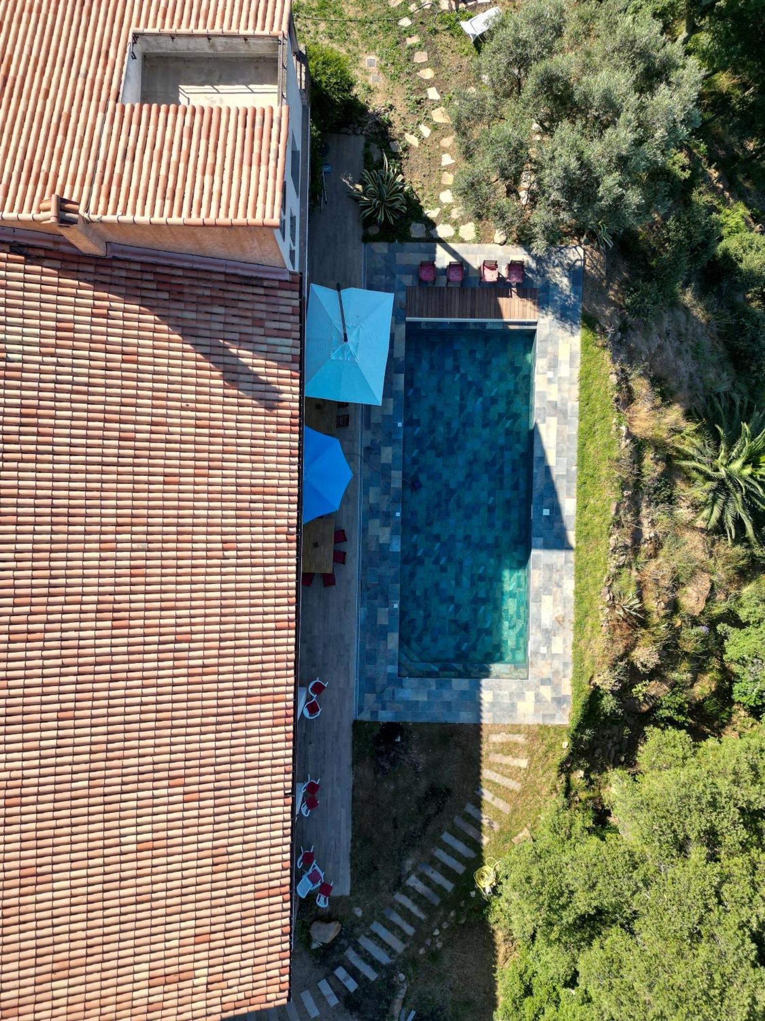 Grande Villa 750 M2 Le Mas Des Chenes Bormes-les-Mimosas Exteriör bild
